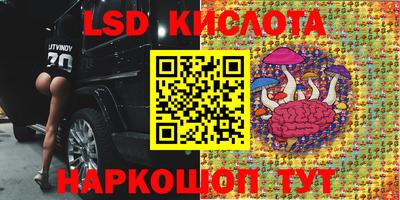 PSILOCYBIN Апшеронск